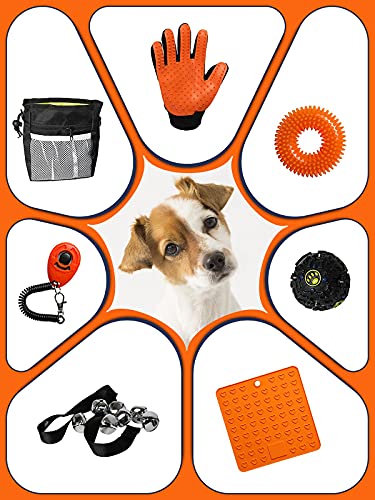 23PC ORANGE SETONWARE PUPPY STARTER KIT