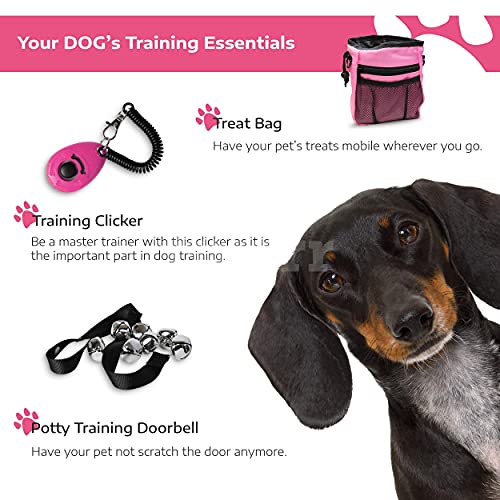 23 pc Pink Setonware Puppy Starter Kit