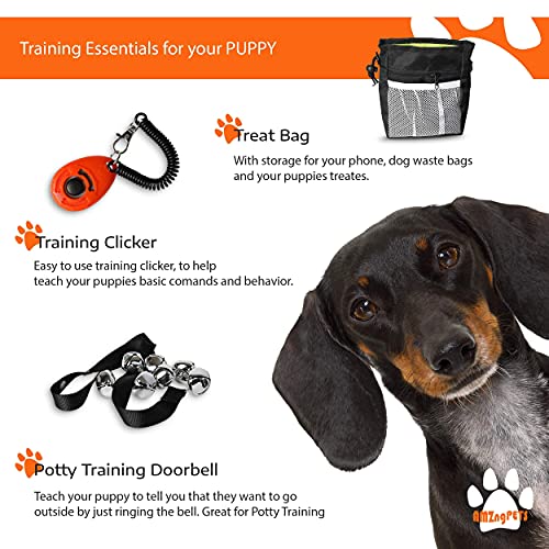 23PC ORANGE SETONWARE PUPPY STARTER KIT