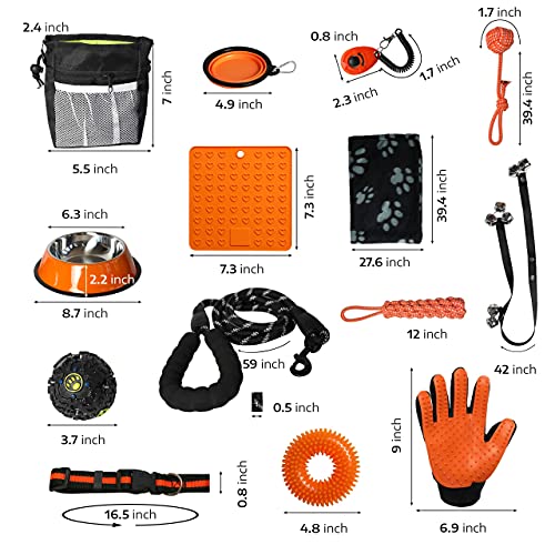 23PC ORANGE SETONWARE PUPPY STARTER KIT