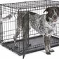 MidWest iCrate Fold & Carry Double Door Collapsible Wire Dog Crate