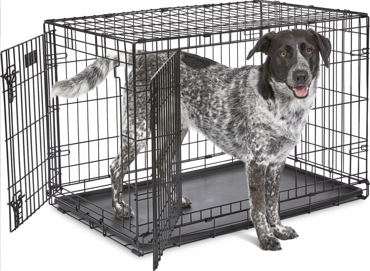 MidWest iCrate Fold & Carry Double Door Collapsible Wire Dog Crate