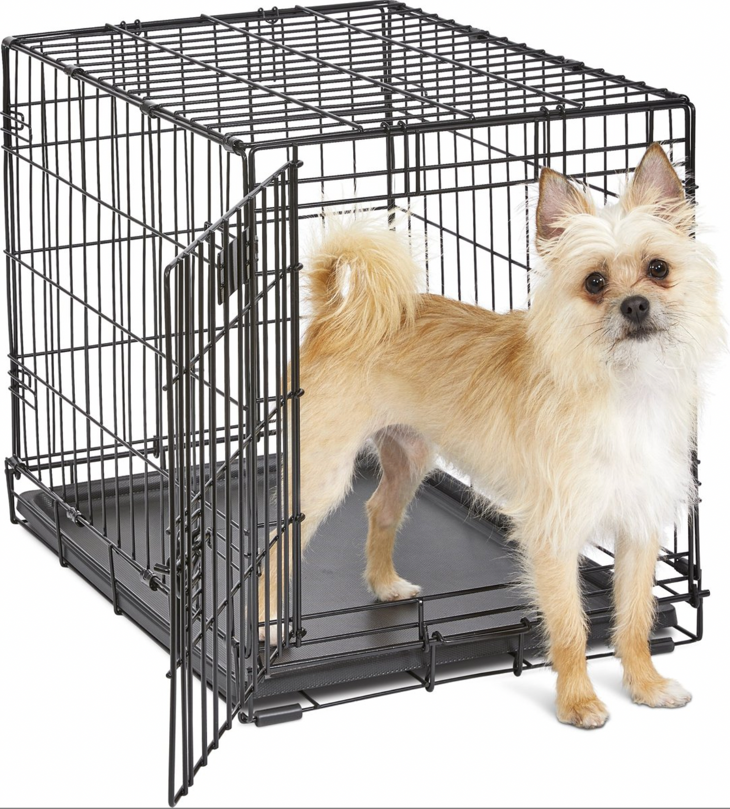 MidWest iCrate Fold & Carry Single Door Collapsible Wire Dog Crate